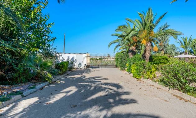 Revente - Country House - Los Montesinos