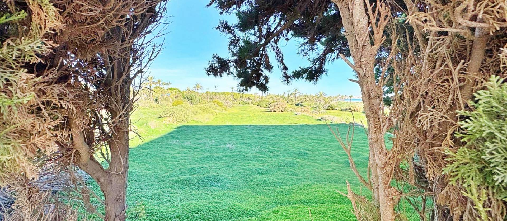 Venta - Apartment - Torrevieja - Rocio del mar