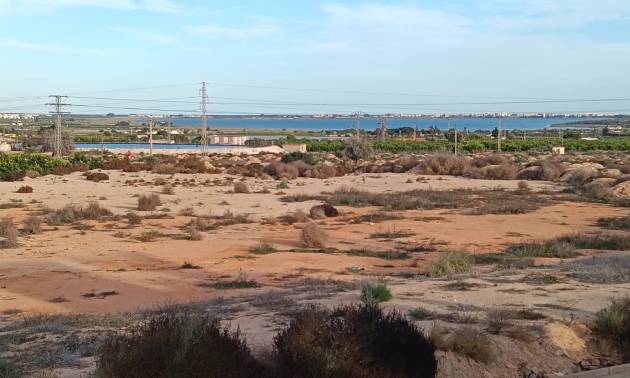 Venta -  - Los Montesinos - La Herrada