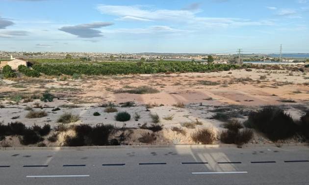 Venta -  - Los Montesinos - La Herrada