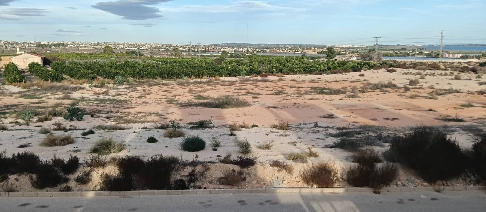 Venta -  - Los Montesinos - La Herrada