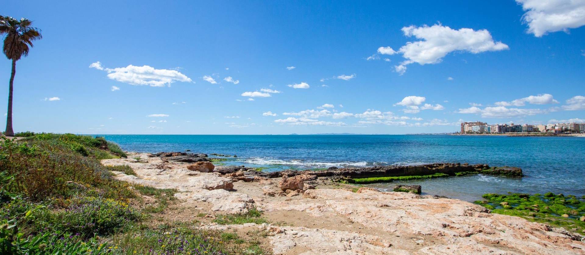 Venta - Apartment - Torrevieja - Centro - Muelle Pesquero