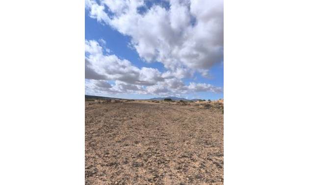 Revente - Land - Pinoso