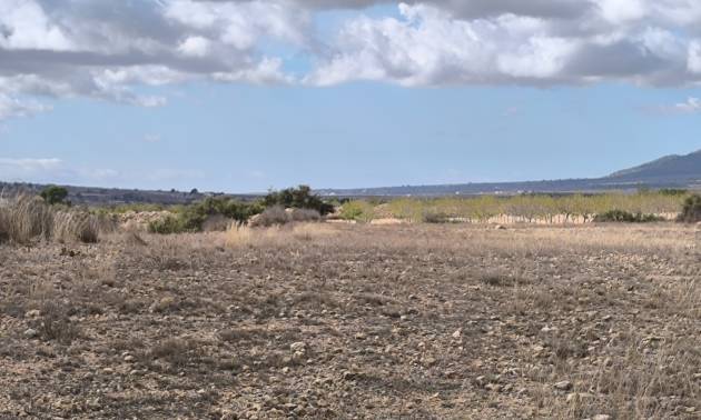 Revente - Land - Pinoso