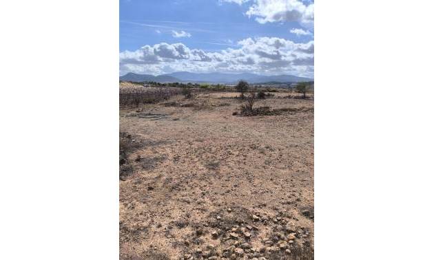 Revente - Land - Pinoso