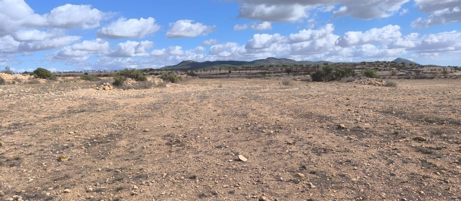 Revente - Land - Pinoso