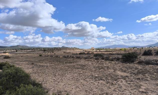 Revente - Land - Pinoso