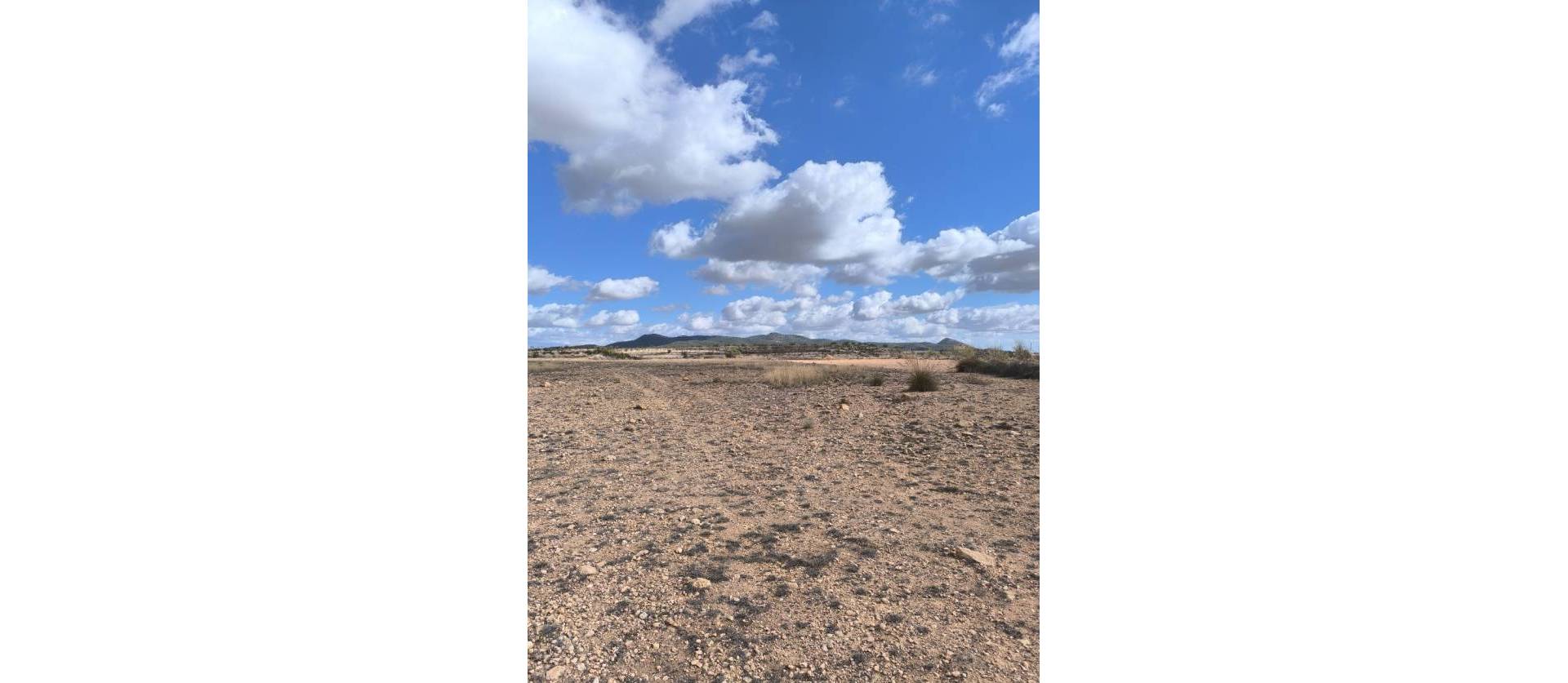 Revente - Land - Pinoso