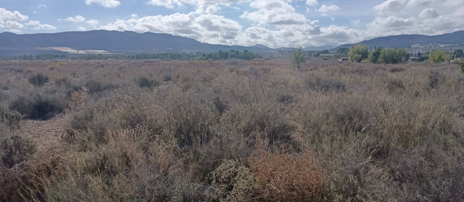 Revente - Land - Salinas