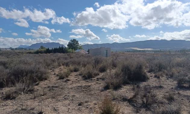 Revente - Land - Salinas