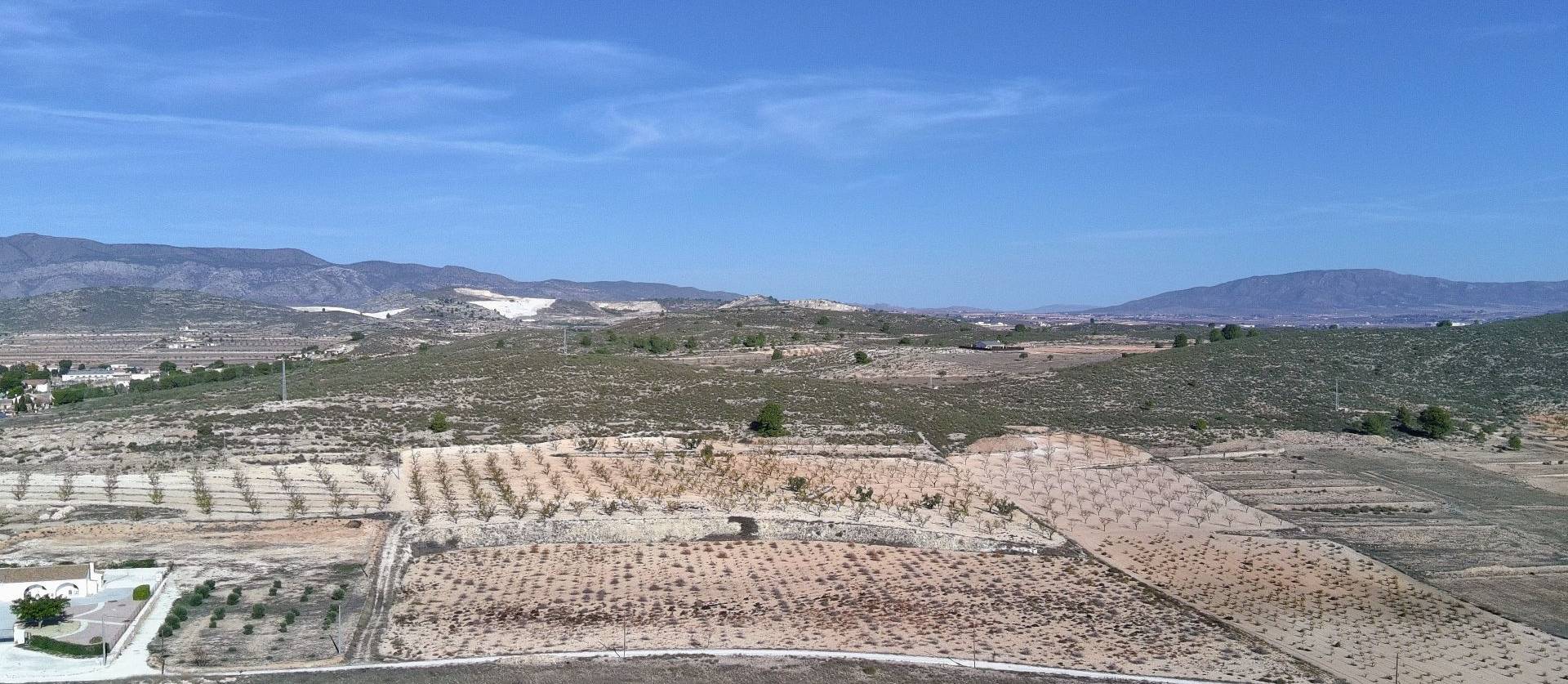 Revente - Land - Canada del Trigo