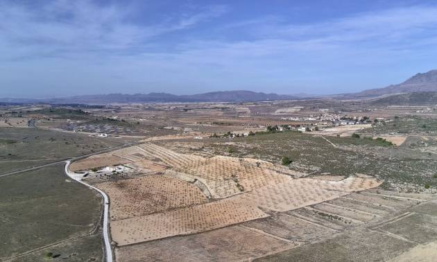 Revente - Land - Canada del Trigo