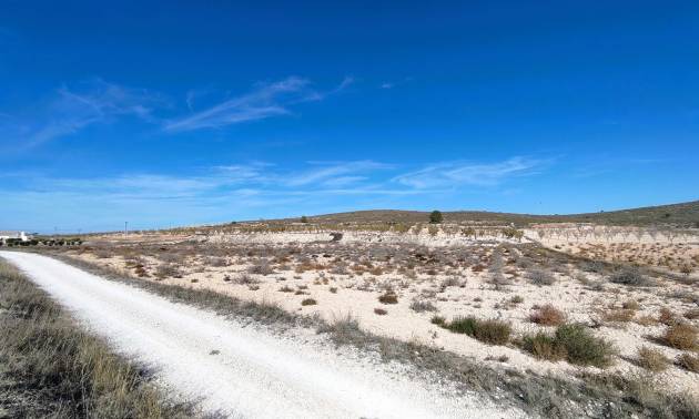 Revente - Land - Canada del Trigo