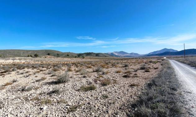 Revente - Land - Canada del Trigo