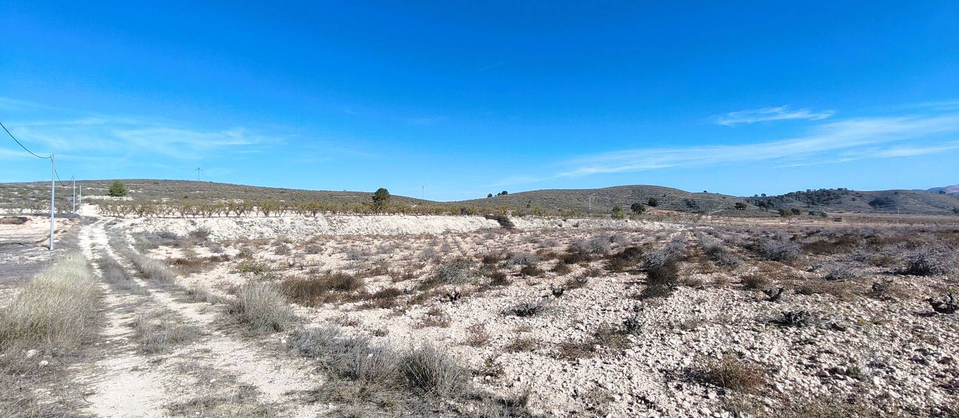 Revente - Land - Canada del Trigo