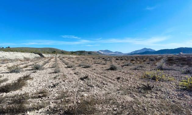 Revente - Land - Canada del Trigo