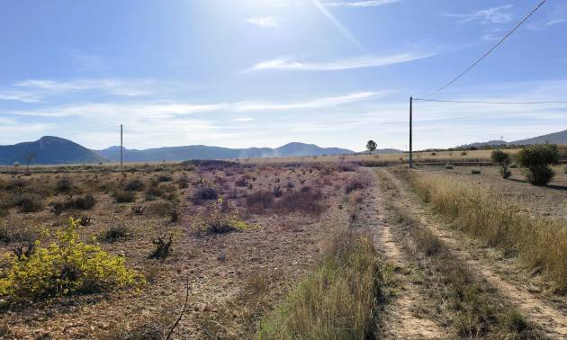 Revente - Land - Canada del Trigo