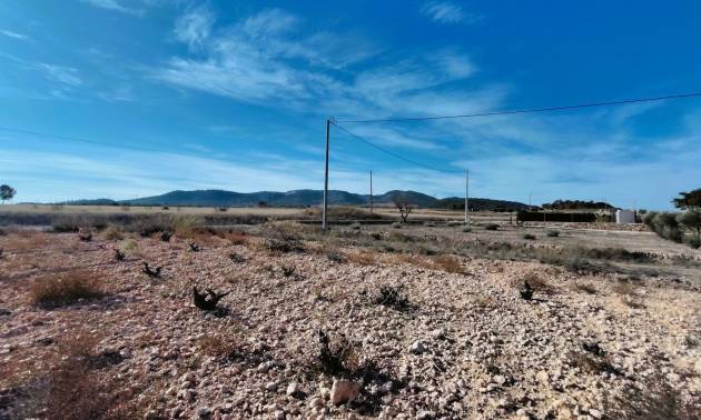 Revente - Land - Canada del Trigo