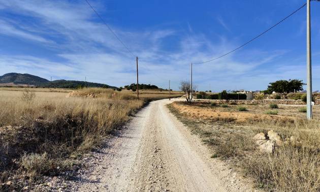Revente - Land - Canada del Trigo