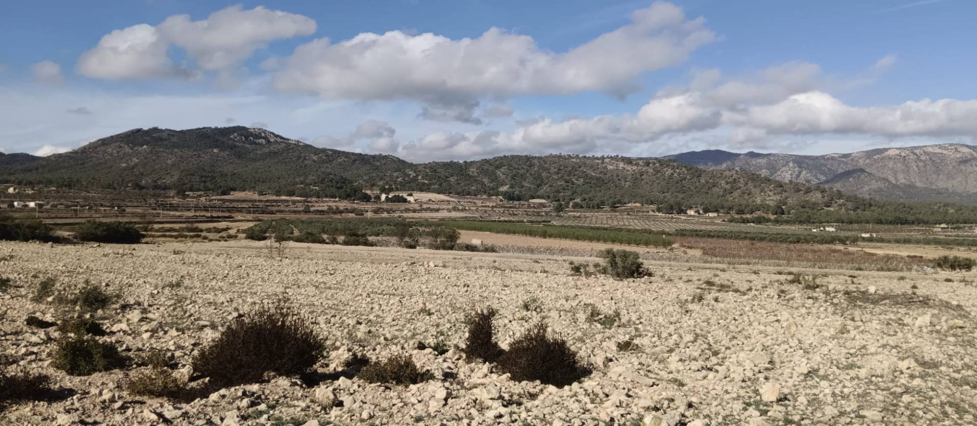 Revente - Land - Salinas