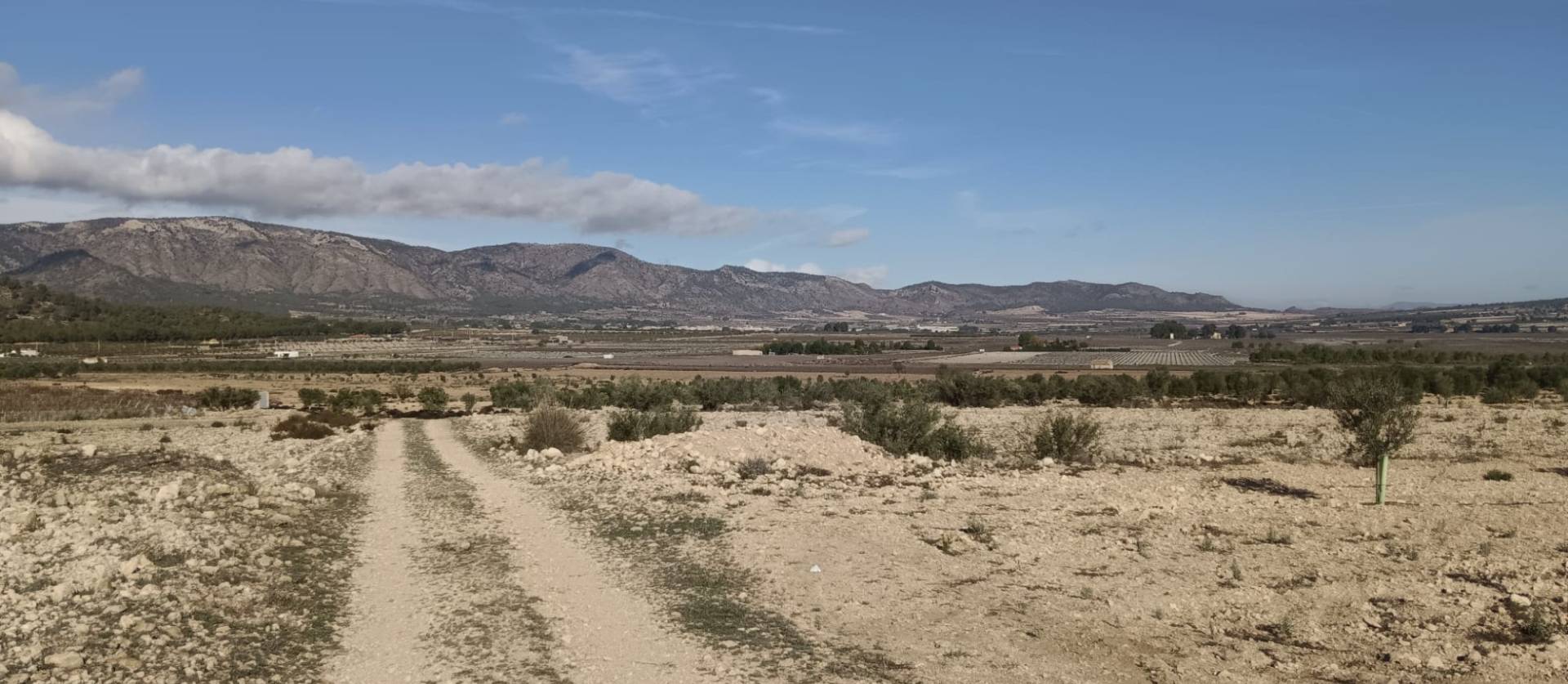 Revente - Land - Salinas