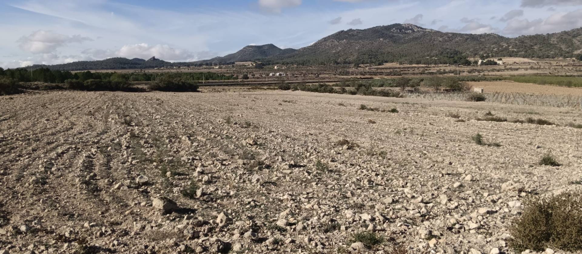 Revente - Land - Salinas