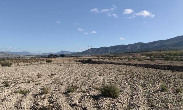 Revente - Land - Salinas