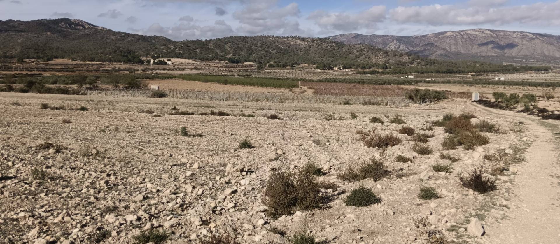 Revente - Land - Salinas