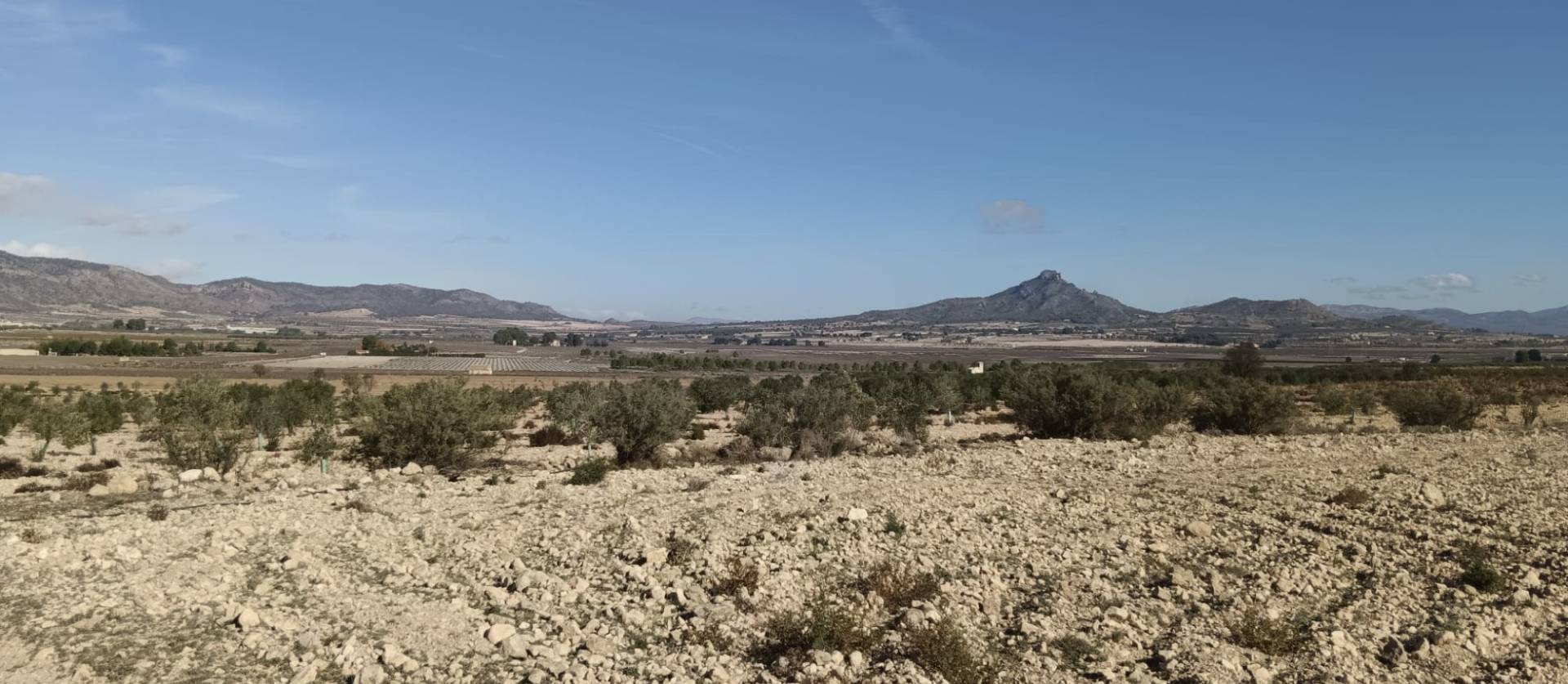 Revente - Land - Salinas