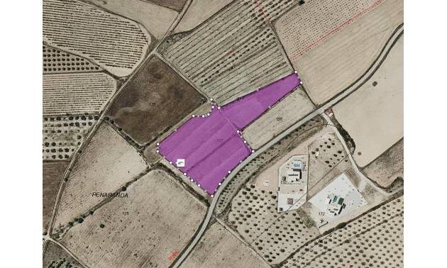 Revente - Land - Salinas