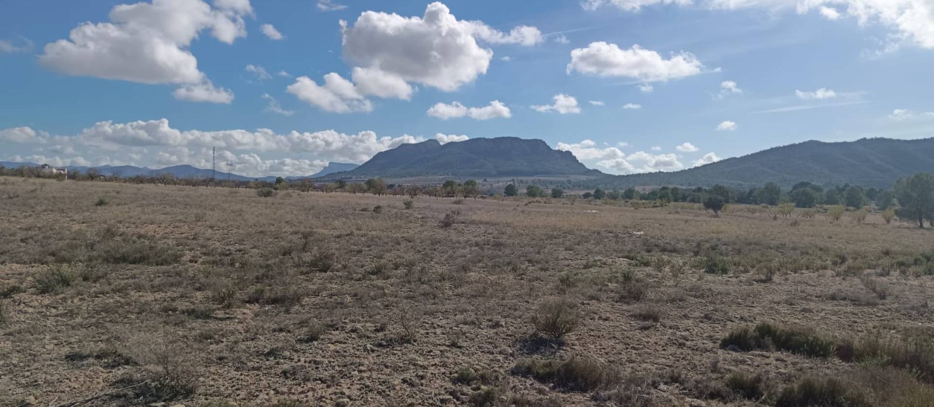 Bestaande woningen - Land - Salinas