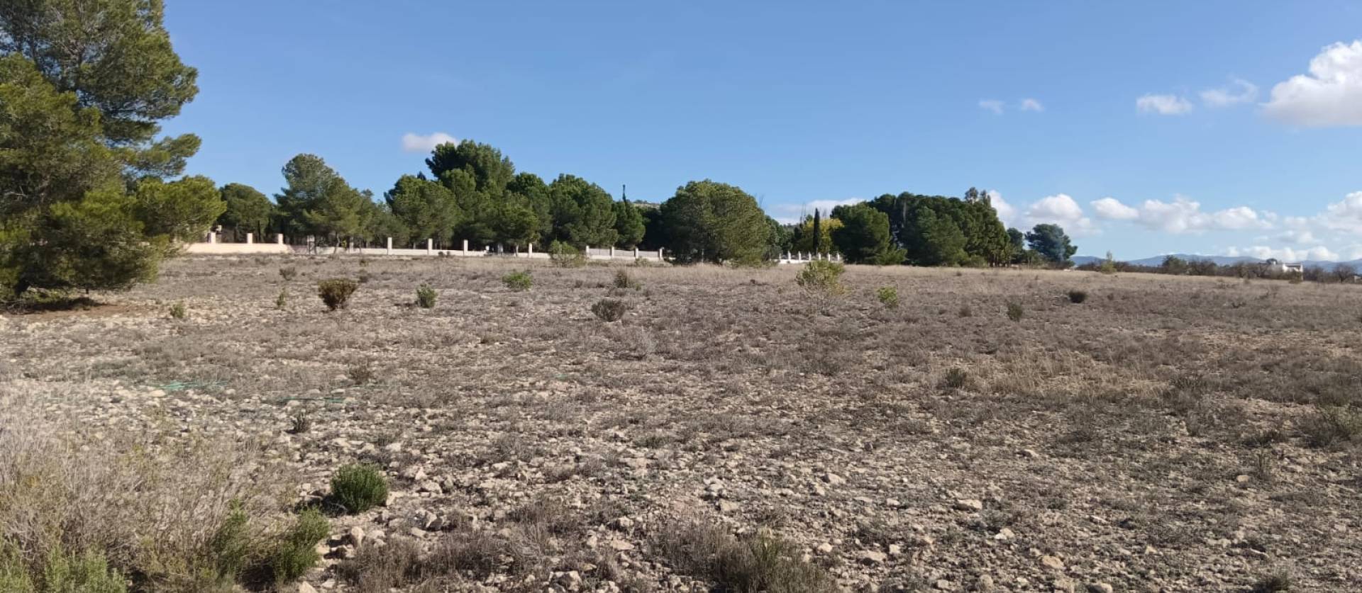 Bestaande woningen - Land - Salinas