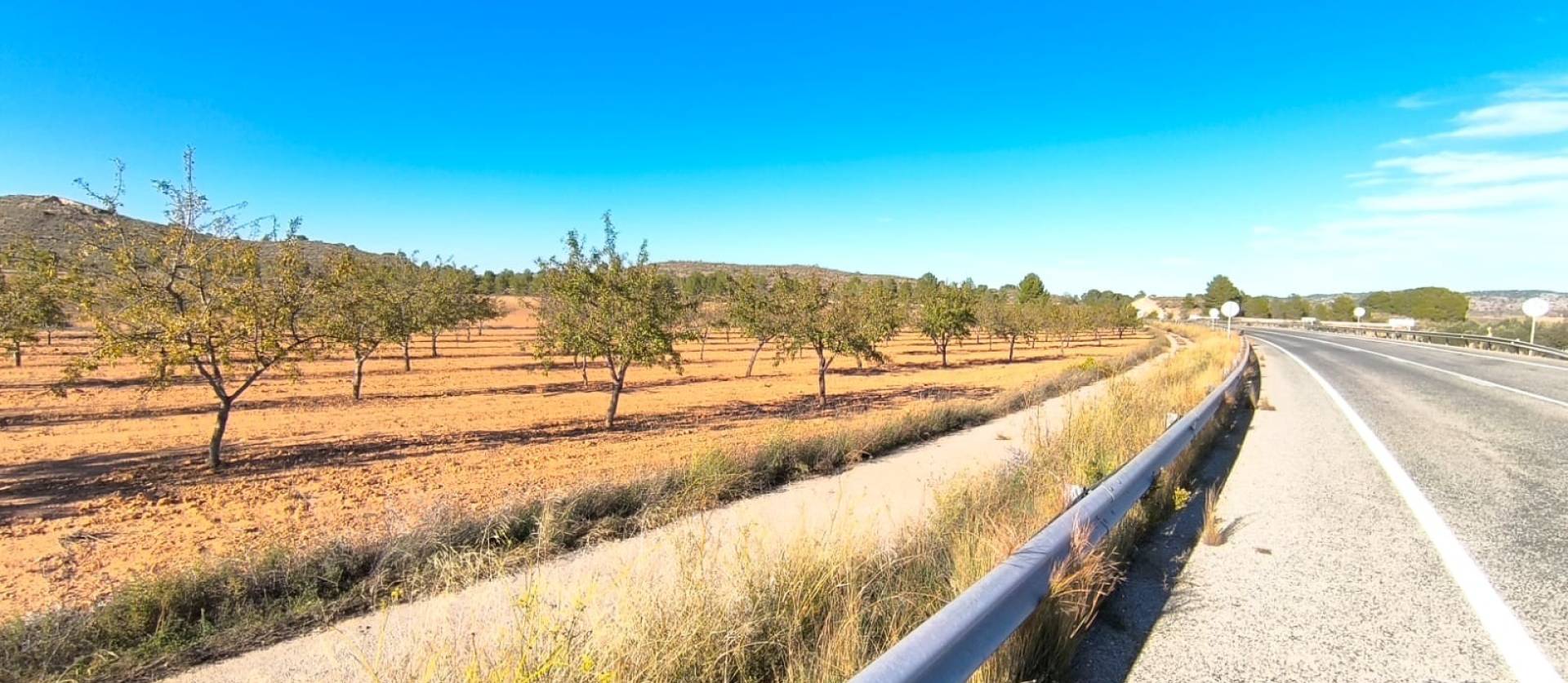 Revente - Land - Yecla