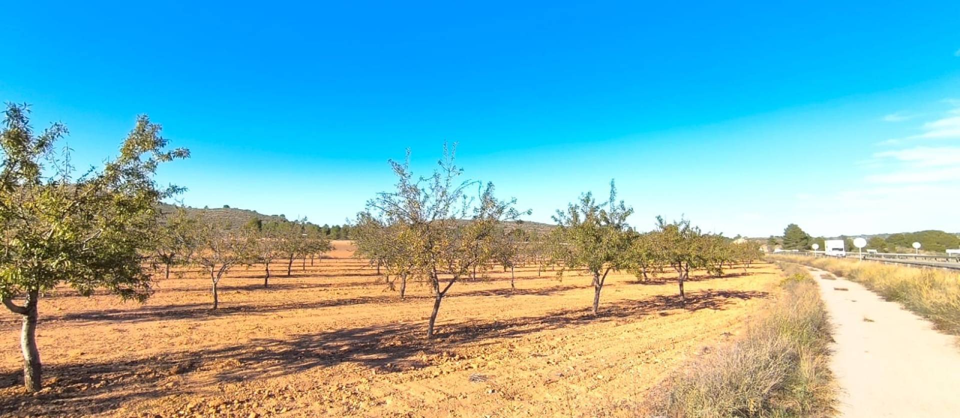 Revente - Land - Yecla