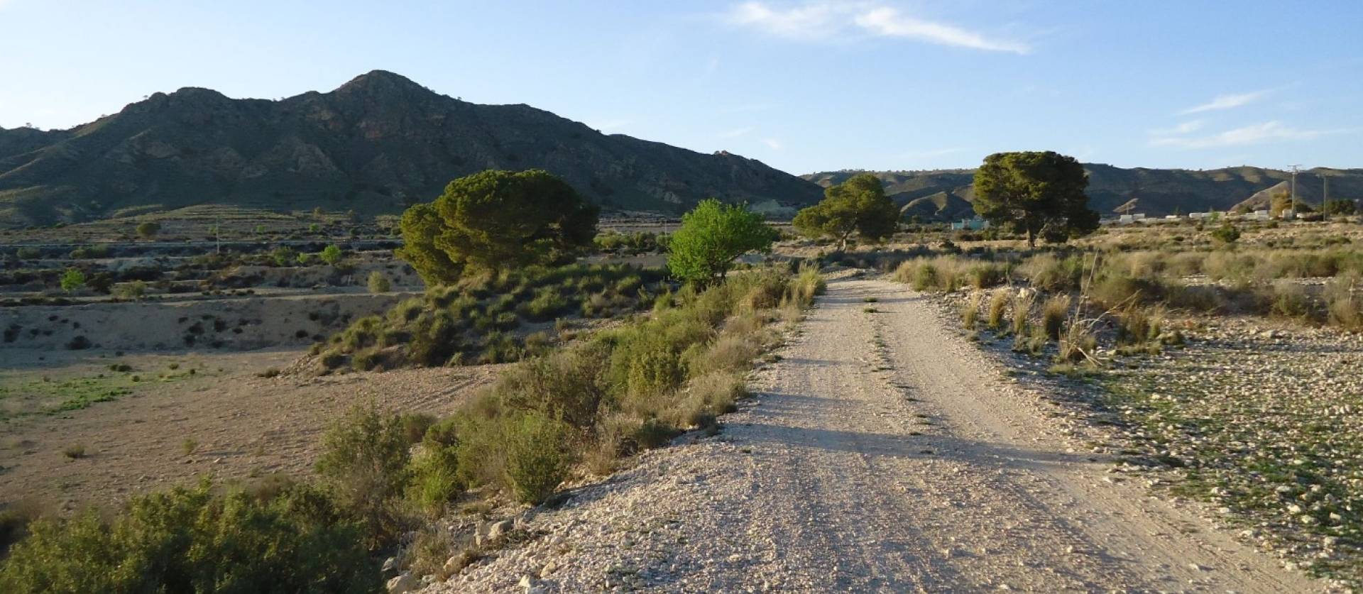 Bestaande woningen - Land - Abanilla