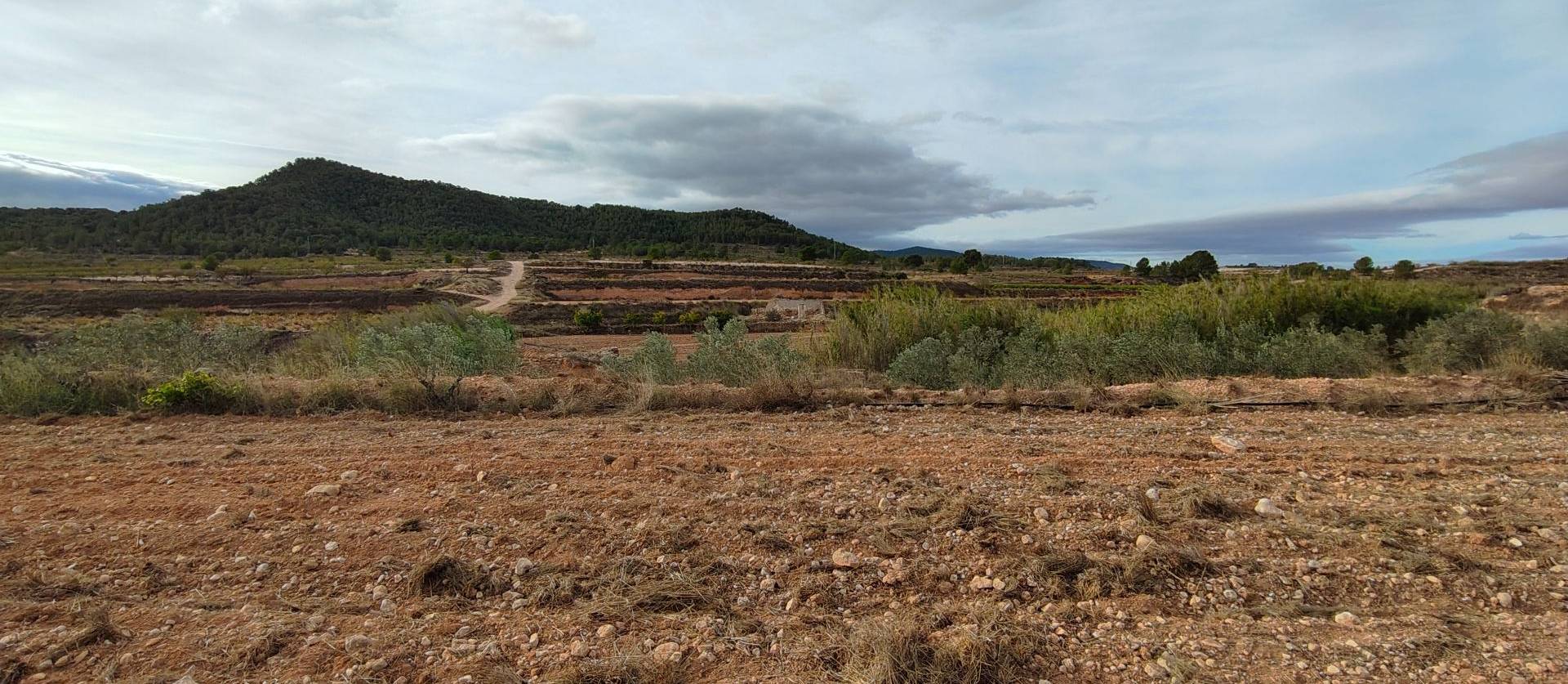 Revente - Land - Monovar