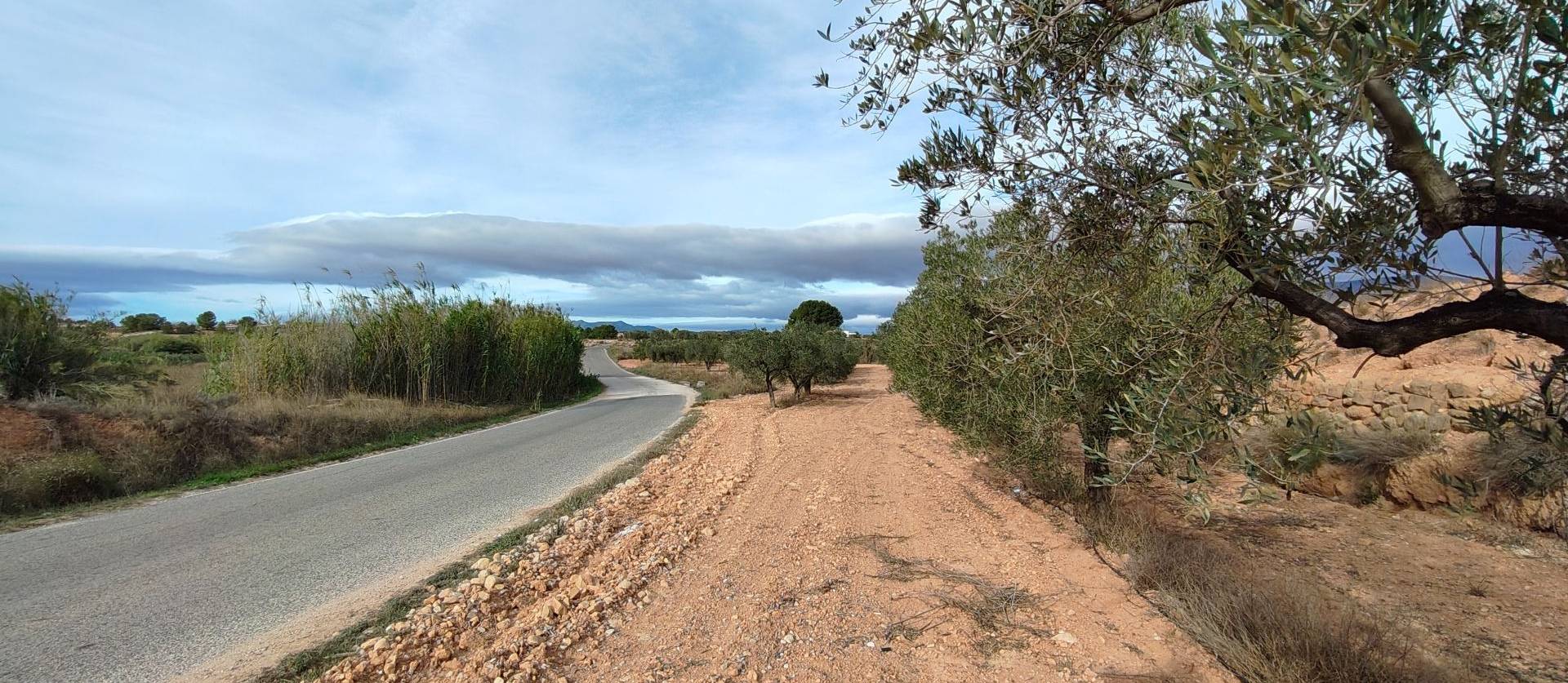 Revente - Land - Monovar