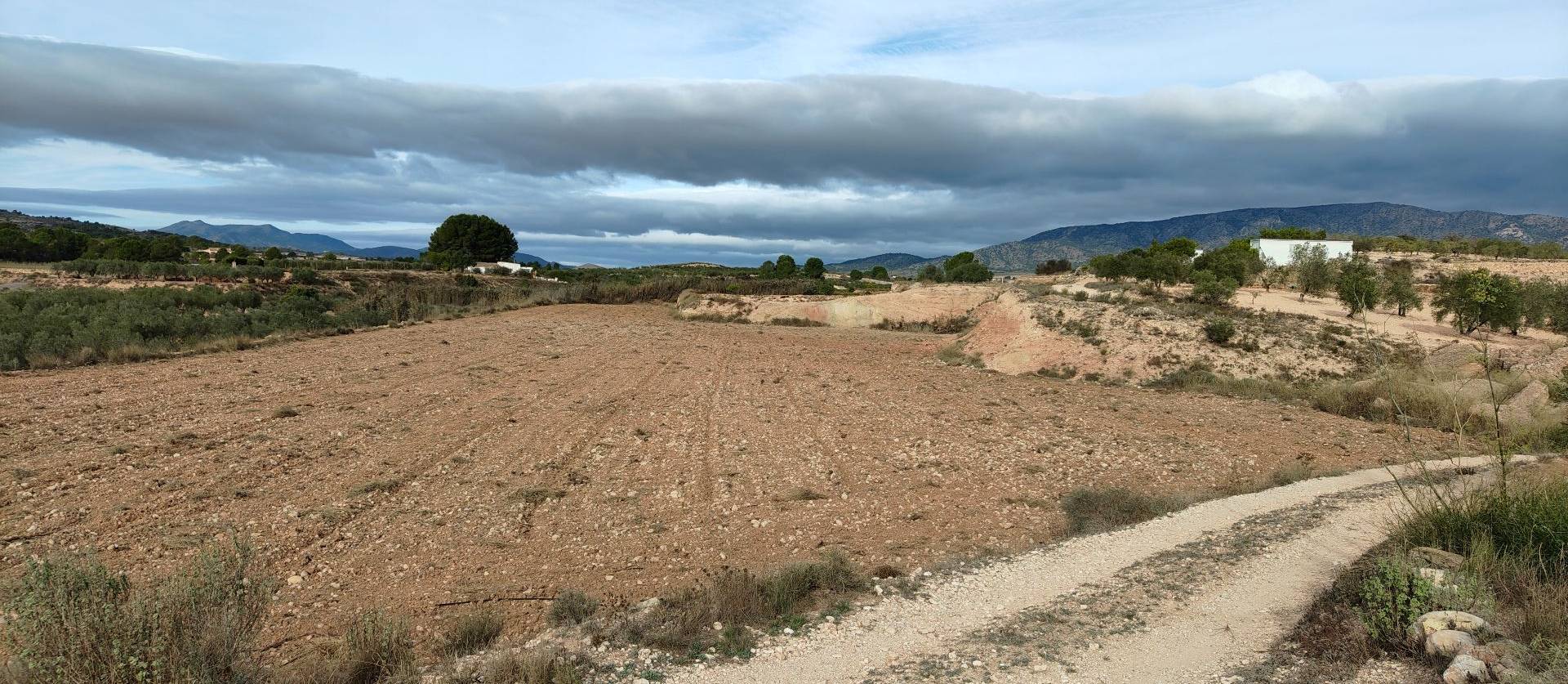 Revente - Land - Monovar