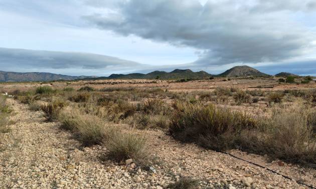 Revente - Land - Monovar