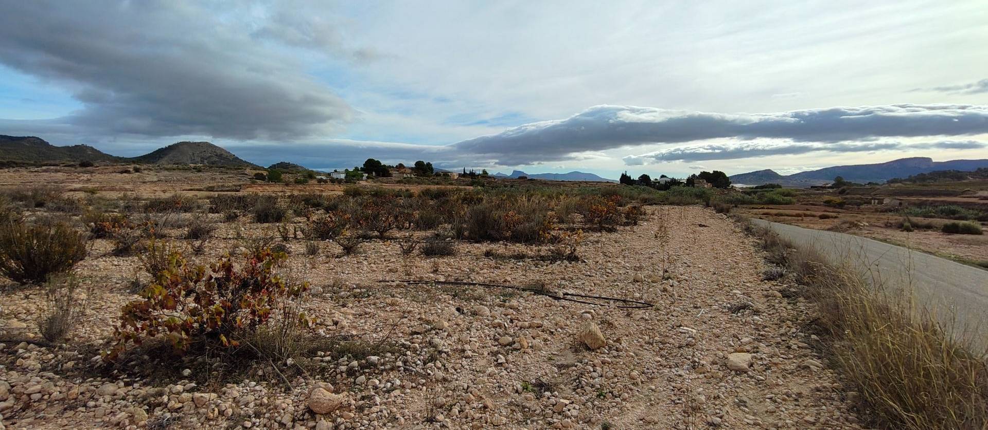 Revente - Land - Monovar