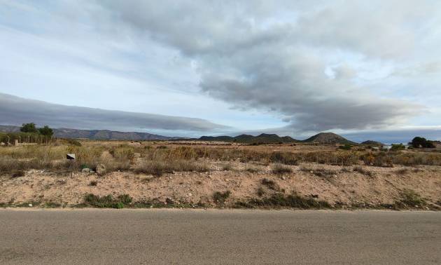 Revente - Land - Monovar