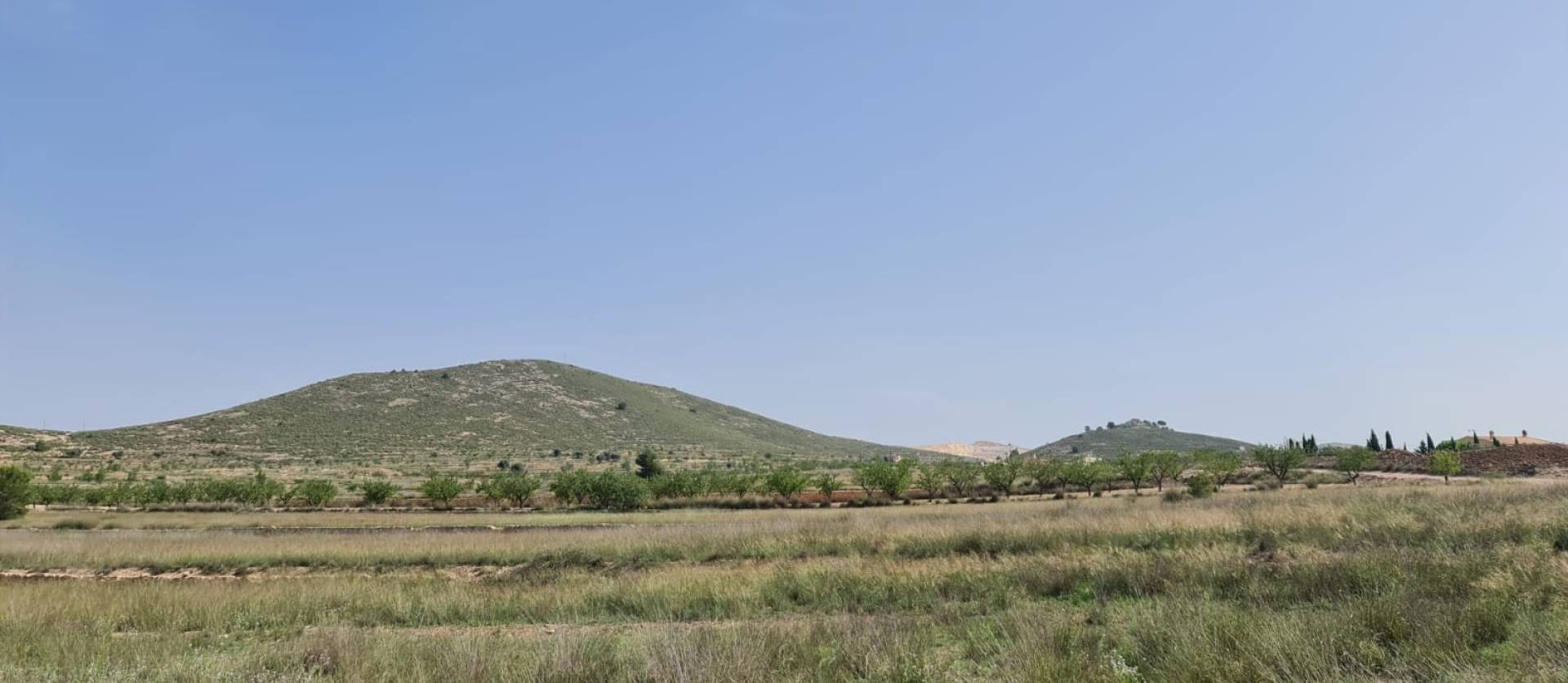 Bestaande woningen - Land - Jumilla