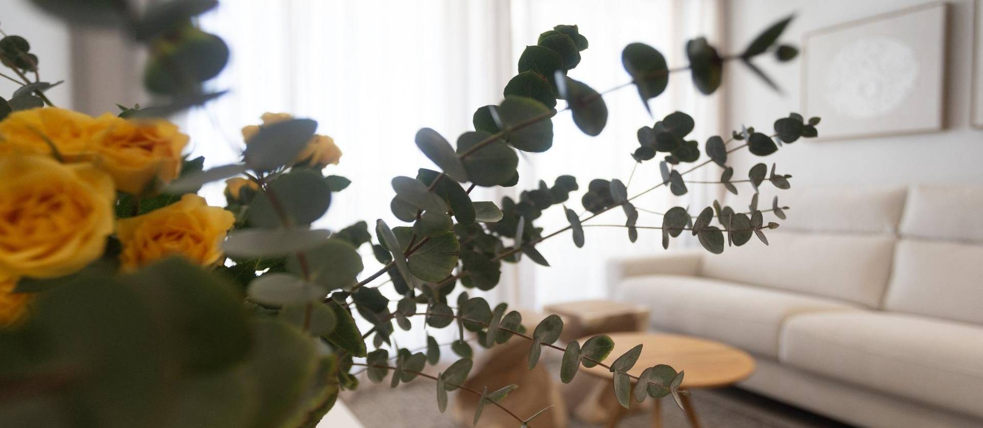 Nueva construcción  - Apartment - Denia - L´Estanyó (Marinas)