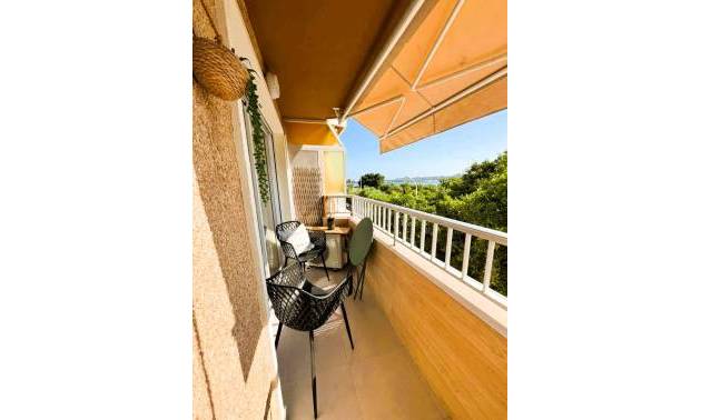 Bestaande woningen - Appartment - Torrevieja