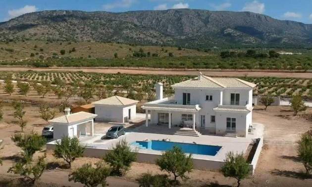 Nueva construcción  - Villa - Pinoso - Camino Del Prado