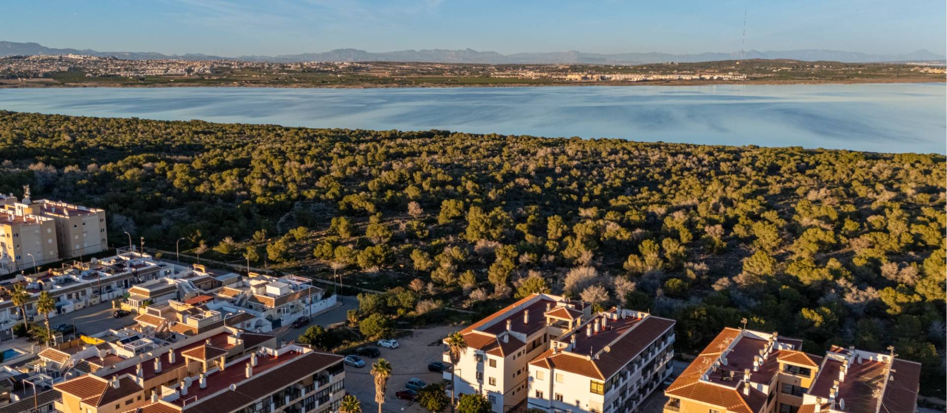 Bestaande woningen - Appartment - Torrevieja