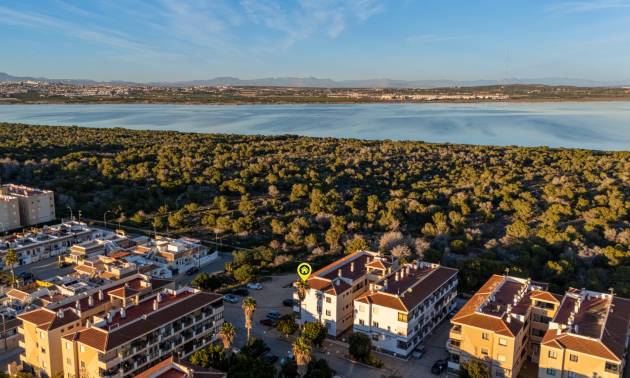 Bestaande woningen - Appartment - Torrevieja