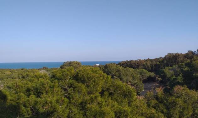 Nueva construcción  - Apartment - Guardamar del Segura - Pueblo