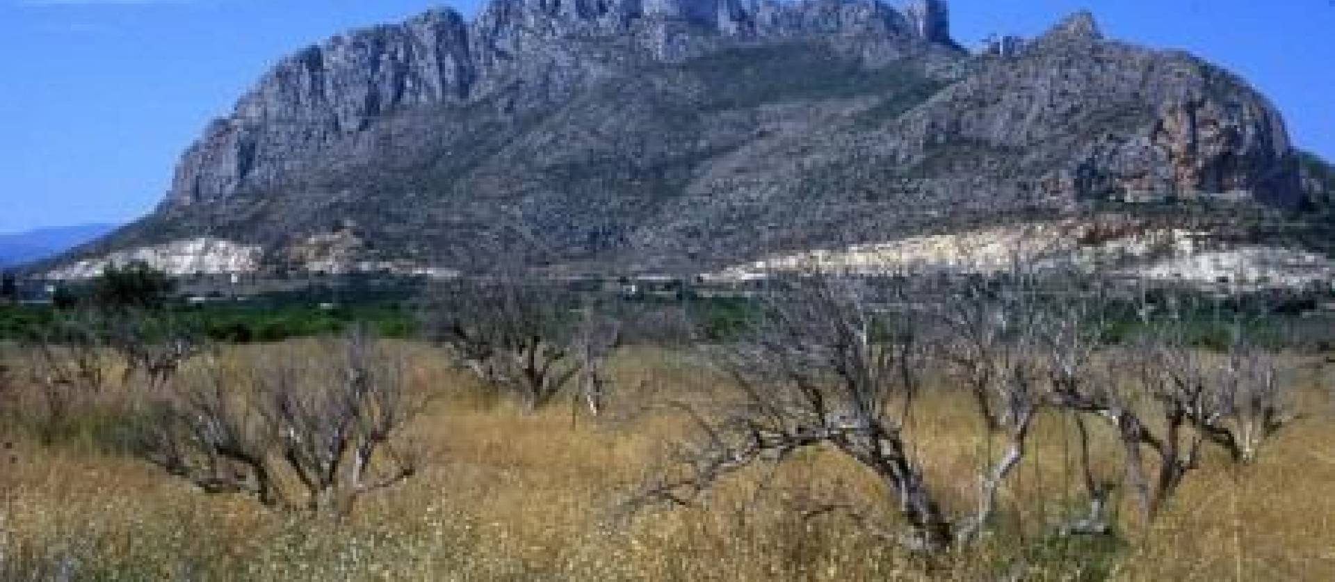 Nieuwbouw projecten - Appartment - El Verger