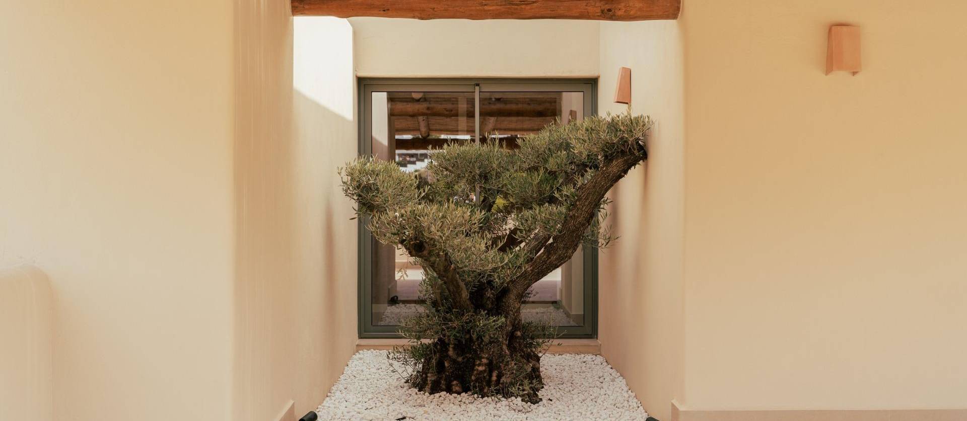 Nueva construcción  - Villa - Jávea Xàbia - Valle del Sol